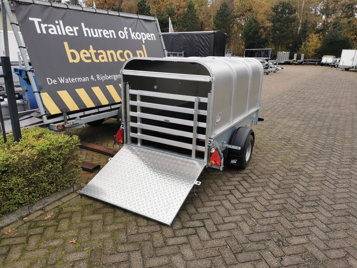 Ifor Williams P7e Schapen / Veetrailer